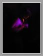 bnb#2 web - 21.jpg